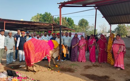 पाली में वैष्णव समाज द्वारा गौ माता लापसी भोग एवं पूजन कार्यक्रम संपन्न