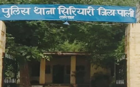 राणावास में अरंडी की फसल के बीच 350 अवैध अफीम के पौधे बरामद, एक आरोपी गिरफ्तार