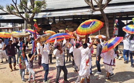 सोजत कृषि मंडी में प्रेम ग्रीन हीना लिमिटेड द्वारा होली स्नेह मिलन, गैर निकाली गई