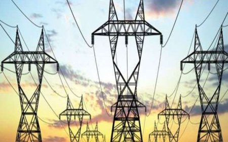 खोखरा गांव में बिजली सप्लाई कटने से ग्रामीण परेशान