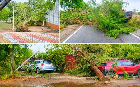 सोजत में आधी रात बदला मौसम का मिजाज, तेज अंधड़ और बारिश से गर्मी से मिली राहत