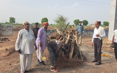 सोजत सेवा मण्डल का मानवीय कार्य: 36वीं लावारिस लाश का कराया दाह-संस्कार