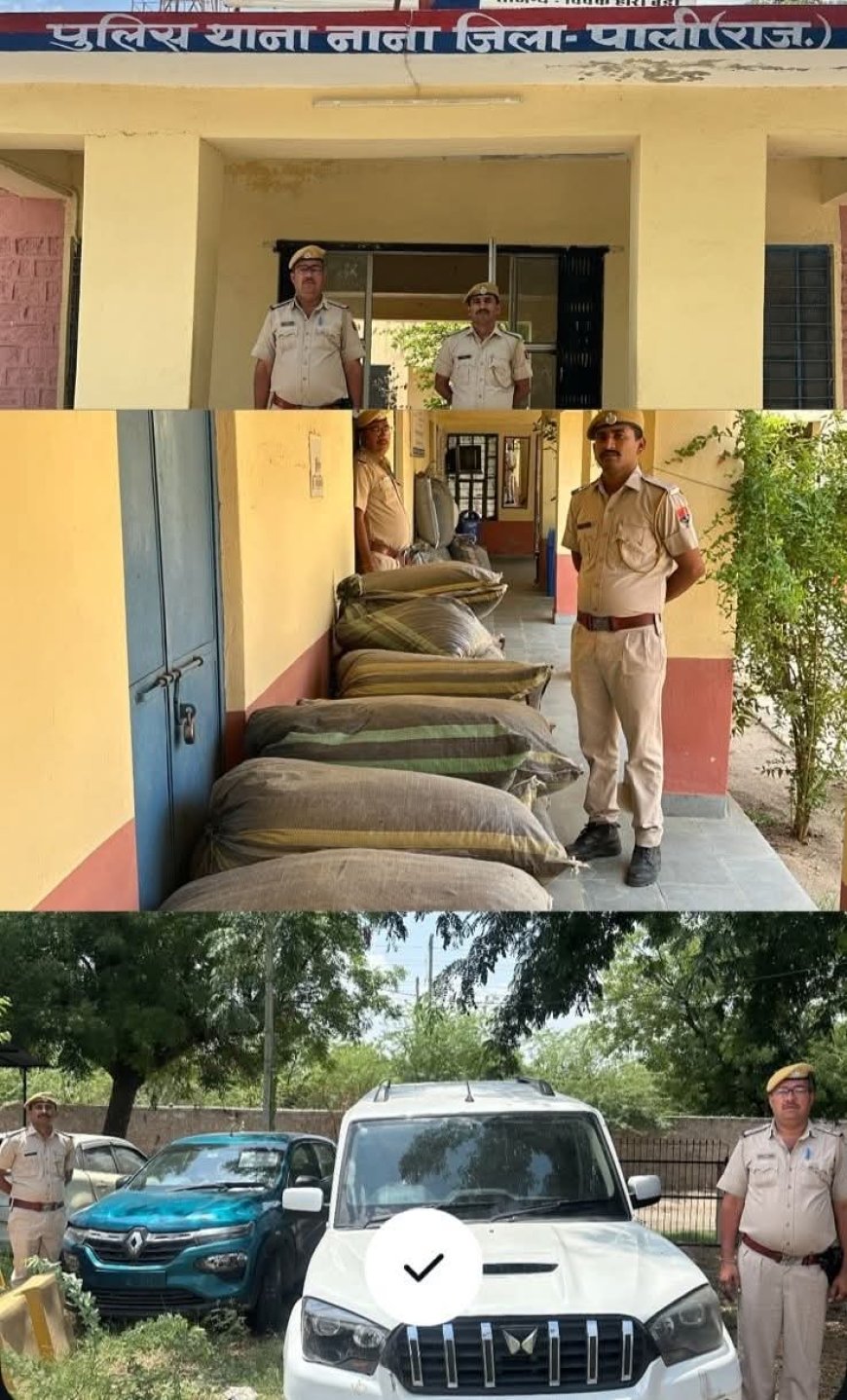 *पाली पुलिस की बड़ी कार्रवाई: एक रात में तीन गाड़ियों से 775 किलो डोडापोस्त बरामद, तस्करों ने की हवाई फायरिंग*