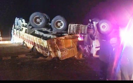 NH-162 पर बड़ा हादसा टला: बिलाड़ा मोड़ ब्रिज के पास ट्रेलर पलटा, चालक सुरक्षित