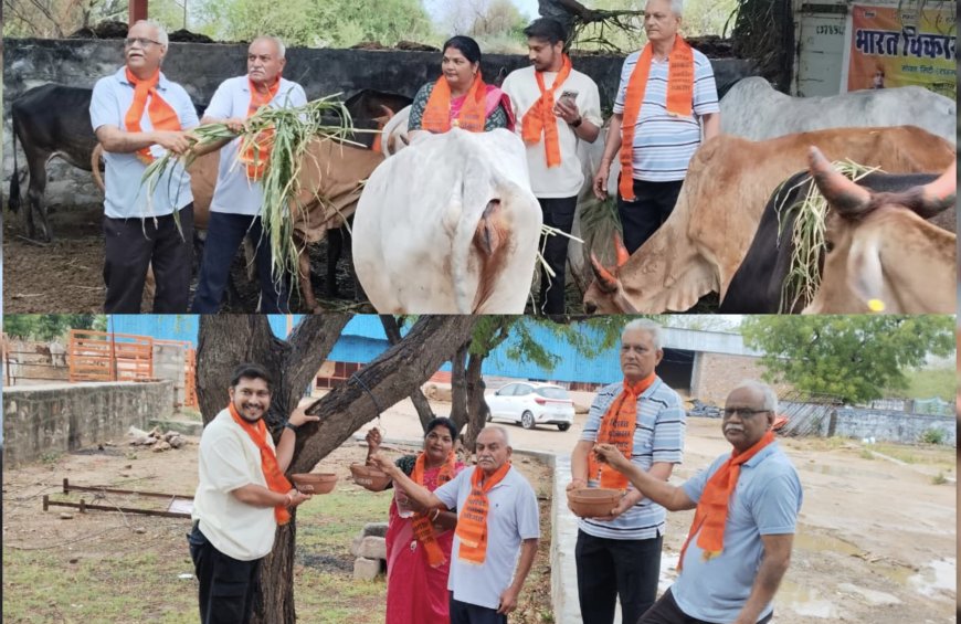 सोजत में गौसेवा की मिसाल: दिव्यांग गायों को 18 क्विंटल हरा चारा, पशुओं के लिए नाड़ी में डलवाया पानी