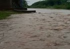 अरावली क्षेत्र में मूसलाधार बारिश से नदी-नाले उफान पर, केलवाज माताजी मंदिर के पास नदी में बहा पानी