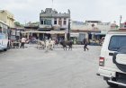 सोजत बस स्टैंड पर सांडों की लड़ाई से मची भगदड़, लोग जान बचाकर भागे