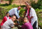 मॉडर्न पब्लिक स्कूल में पेड़ लगा दिया पर्यावरण संरक्षण का संदेश