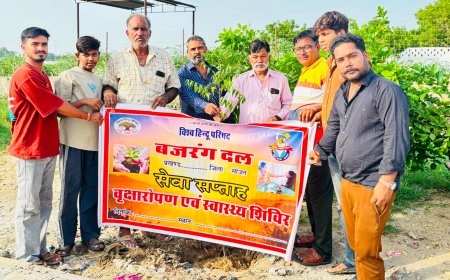 सेवा सप्ताह में विश्व हिंदू परिषद की हरित पहल, सोजत में 52 पौधे लगाए