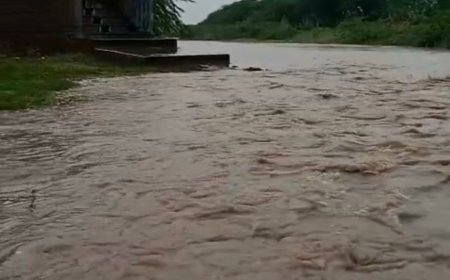 अरावली क्षेत्र में मूसलाधार बारिश से नदी-नाले उफान पर, केलवाज माताजी मंदिर के पास नदी में बहा पानी