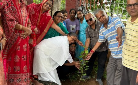 आचार्य बालकृष्ण ऋषि के जन्मोत्सव पर पौधरोपण, पर्यावरण संरक्षण का दिया संदेश