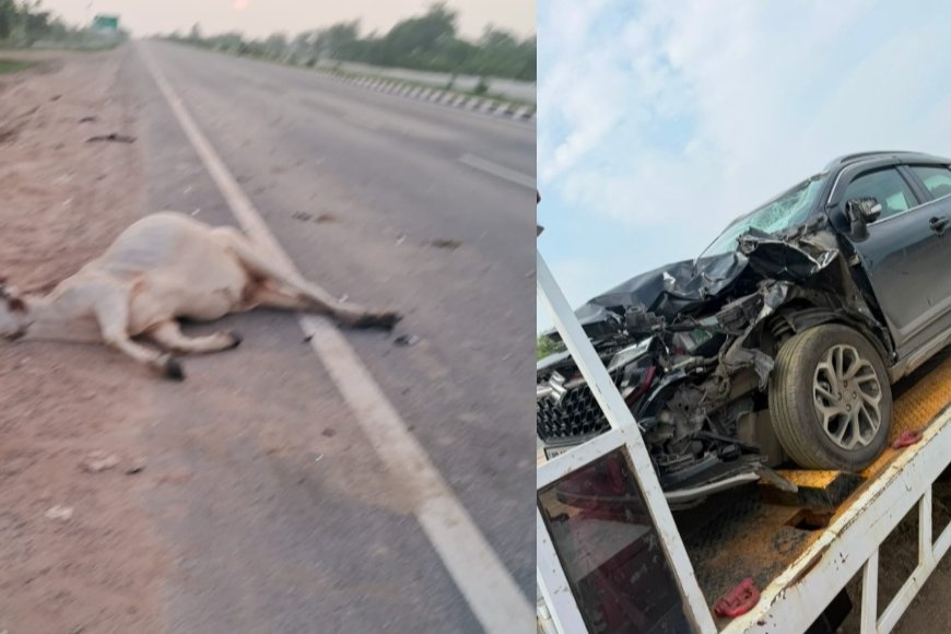 NH-162 पर गोवंश से टकराई कार, बड़ा हादसा टला; पशु की मौत, परिवार सुरक्षित