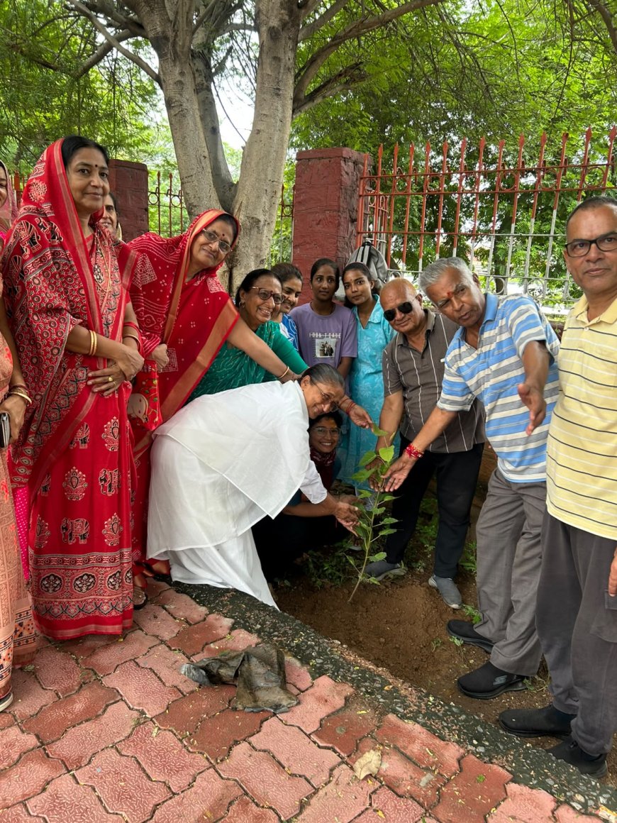 आचार्य बालकृष्ण ऋषि के जन्मोत्सव पर पौधरोपण, पर्यावरण संरक्षण का दिया संदेश